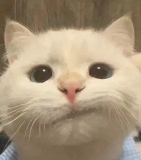 玩家头像
